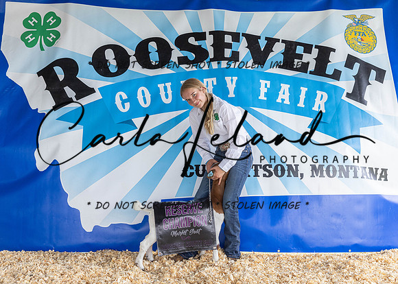 2023 Roosevelt County Fair-1525