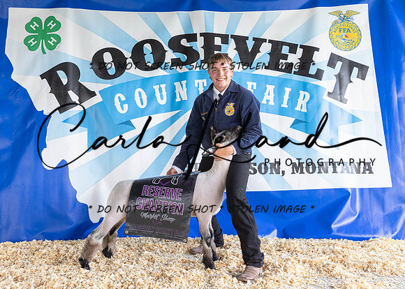 2023 Roosevelt County Fair-1541