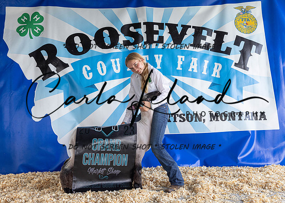 2023 Roosevelt County Fair-1539