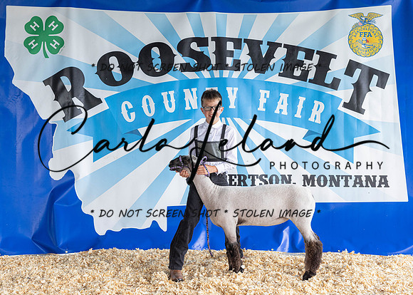 2023 Roosevelt County Fair-1527