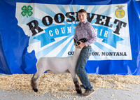 2023 Roosevelt County Fair-1535