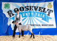 2023 Roosevelt County Fair-1532