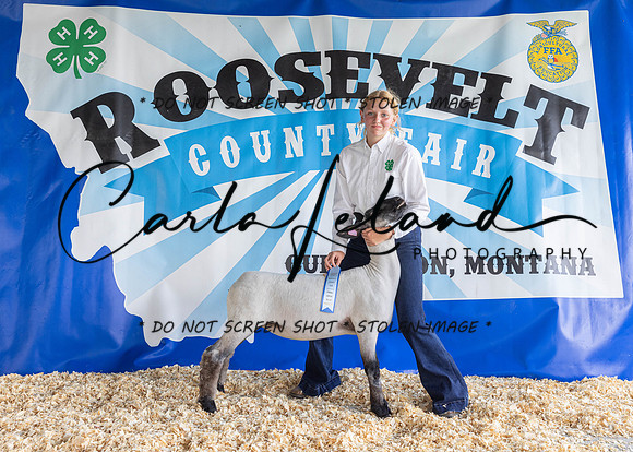 2023 Roosevelt County Fair-1544