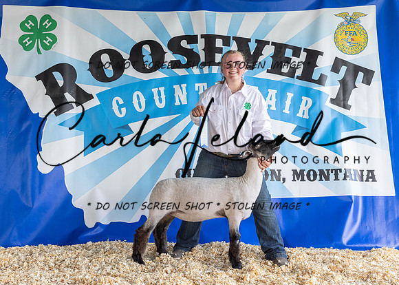 2023 Roosevelt County Fair-1549