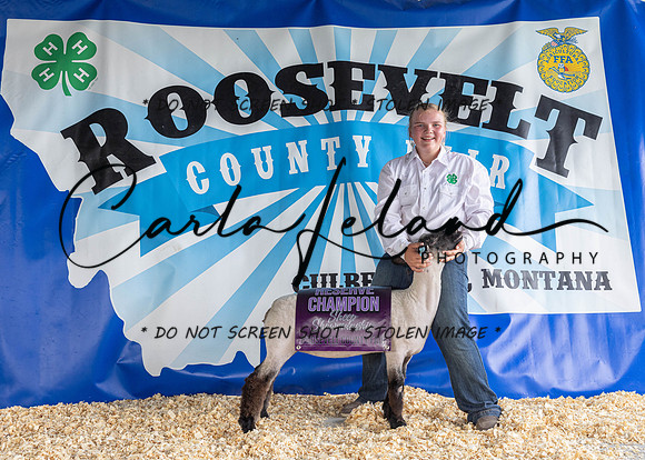 2023 Roosevelt County Fair-1561