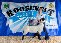 2023 Roosevelt County Fair-1571