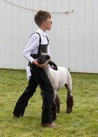 2023 Roosevelt County Fair Sheep Show-3