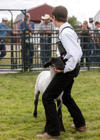 2023 Roosevelt County Fair Sheep Show-2