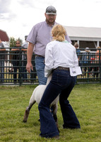 2023 Roosevelt County Fair Sheep Show-4