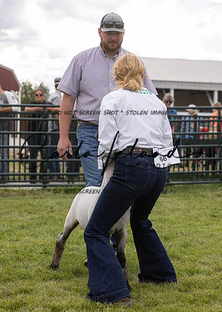 2023 Roosevelt County Fair Sheep Show-4