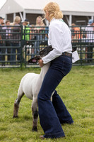 2023 Roosevelt County Fair Sheep Show-1