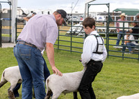 2023 Roosevelt County Fair Sheep Show-6