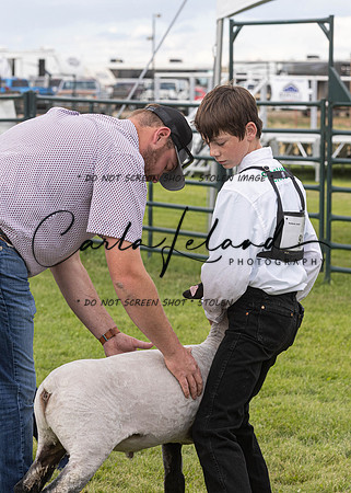 2023 Roosevelt County Fair Sheep Show-7
