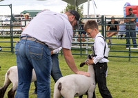 2023 Roosevelt County Fair Sheep Show-9