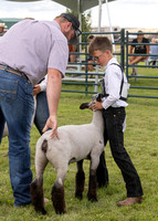 2023 Roosevelt County Fair Sheep Show-10