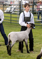 2023 Roosevelt County Fair Sheep Show-12