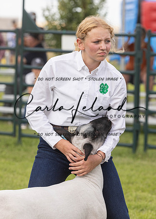 2023 Roosevelt County Fair Sheep Show-13