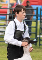 2023 Roosevelt County Fair Sheep Show-14