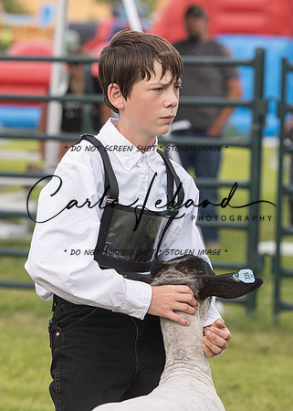 2023 Roosevelt County Fair Sheep Show-14