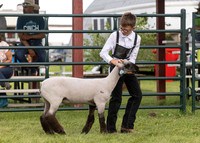 2023 Roosevelt County Fair Sheep Show-16