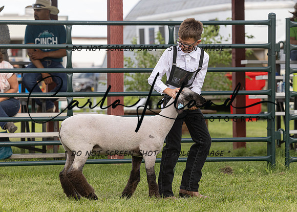2023 Roosevelt County Fair Sheep Show-16
