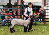 2023 Roosevelt County Fair Sheep Show-18