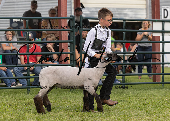 2023 Roosevelt County Fair Sheep Show-18