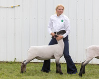 2023 Roosevelt County Fair Sheep Show-19