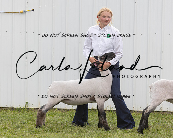 2023 Roosevelt County Fair Sheep Show-19