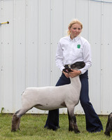 2023 Roosevelt County Fair Sheep Show-20