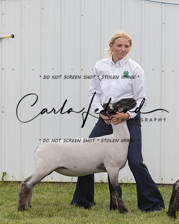 2023 Roosevelt County Fair Sheep Show-20