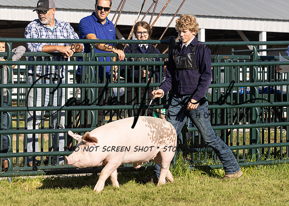 2023 Roosevelt County Fair Swine Show-2