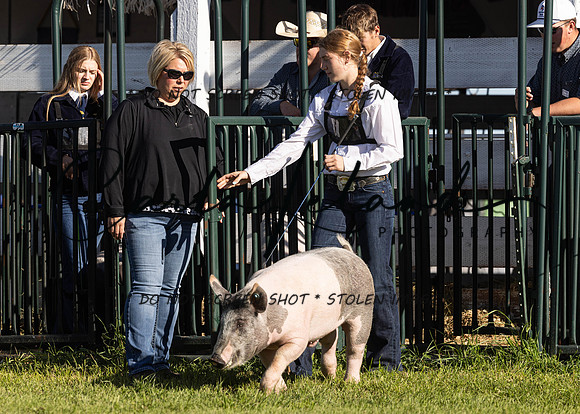 2023 Roosevelt County Fair Swine Show-4