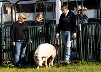 2023 Roosevelt County Fair Swine Show-5