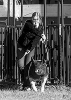 2023 Roosevelt County Fair Swine Show-9