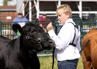 2023 Roosevelt County Fair Beef Show-5