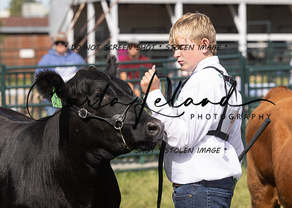 2023 Roosevelt County Fair Beef Show-5