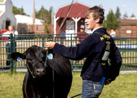 2023 Roosevelt County Fair Beef Show-2