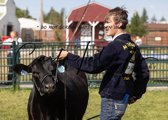 2023 Roosevelt County Fair Beef Show-2