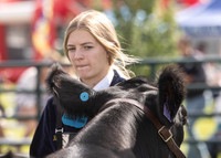 2023 Roosevelt County Fair Beef Show-7