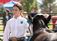 Beef Show, Aug 11, 2023