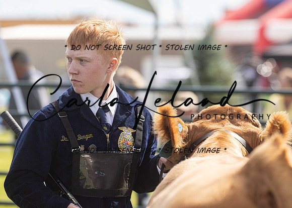 2023 Roosevelt County Fair Beef Show-10
