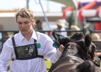 2023 Roosevelt County Fair Beef Show-11