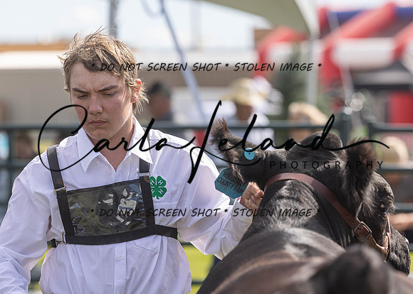 2023 Roosevelt County Fair Beef Show-11