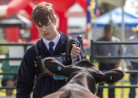 2023 Roosevelt County Fair Beef Show-13