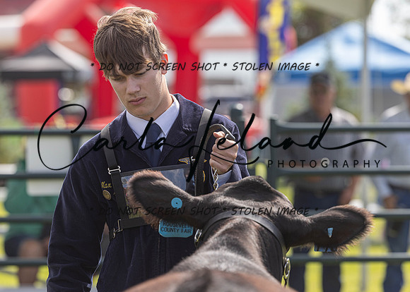 2023 Roosevelt County Fair Beef Show-13