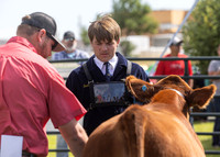 2023 Roosevelt County Fair Beef Show-15