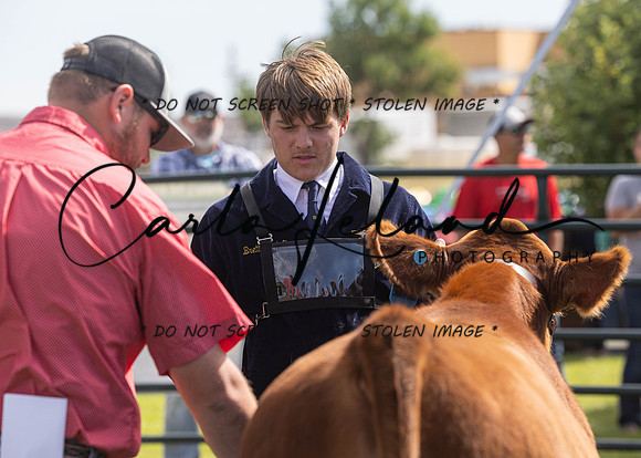 2023 Roosevelt County Fair Beef Show-15