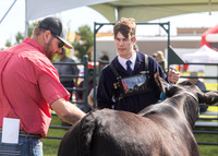 2023 Roosevelt County Fair Beef Show-16
