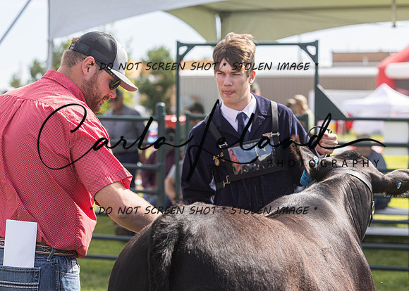 2023 Roosevelt County Fair Beef Show-16
